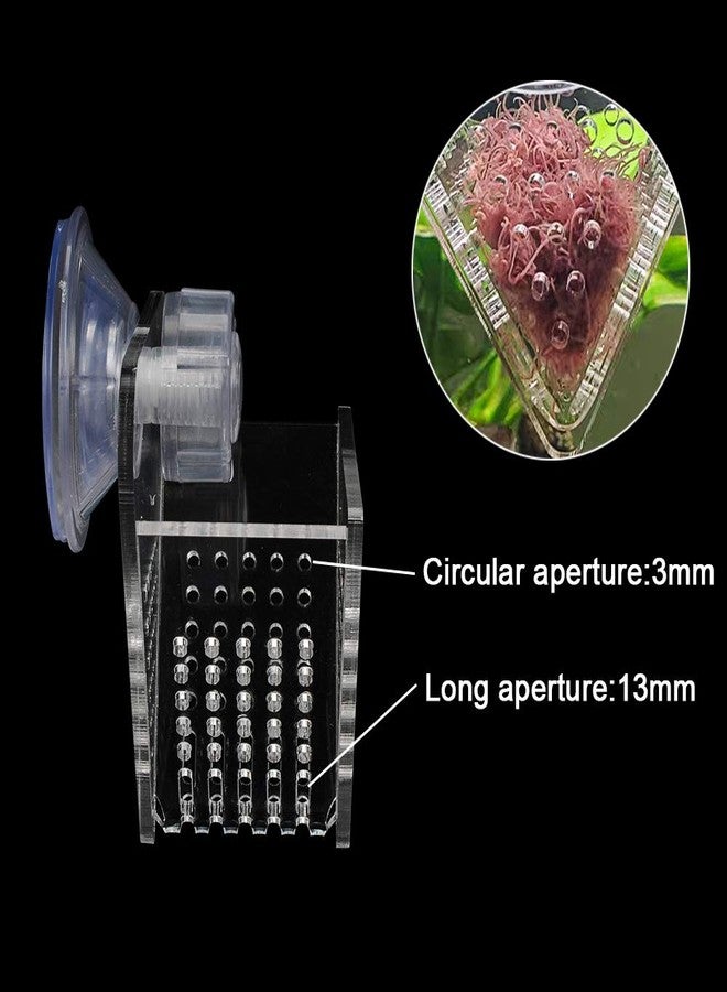 IAFVKAI Aquarium Cone Red Worm Feeder Acrylic V-Shape Automatic Fish Feeder Brine Shrimp Food Feeding Cup with Suction Cup - Image 3